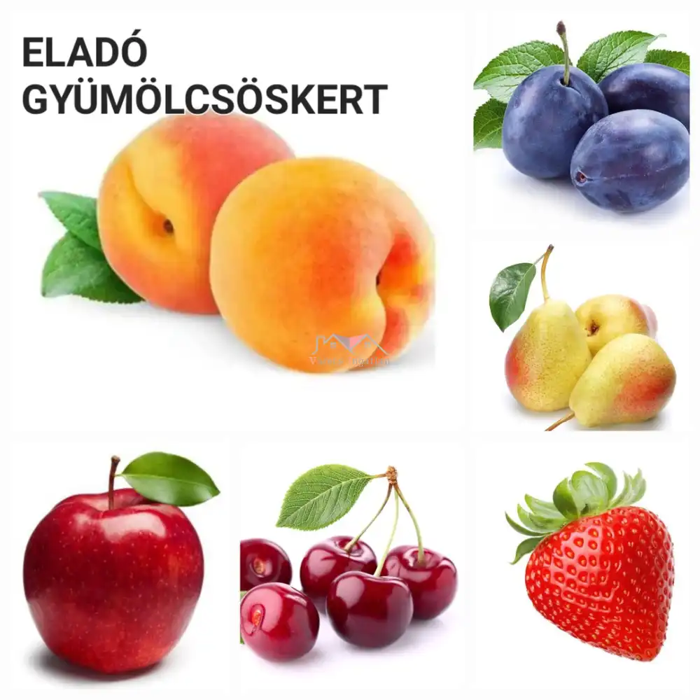 Pest megye - Vác