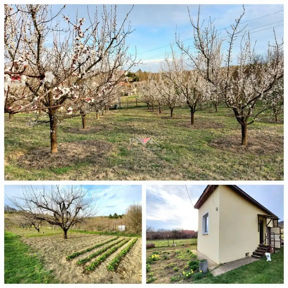 Pest megye - Vác