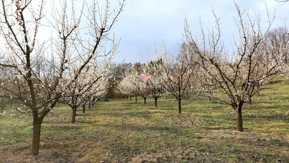 Pest megye - Vác